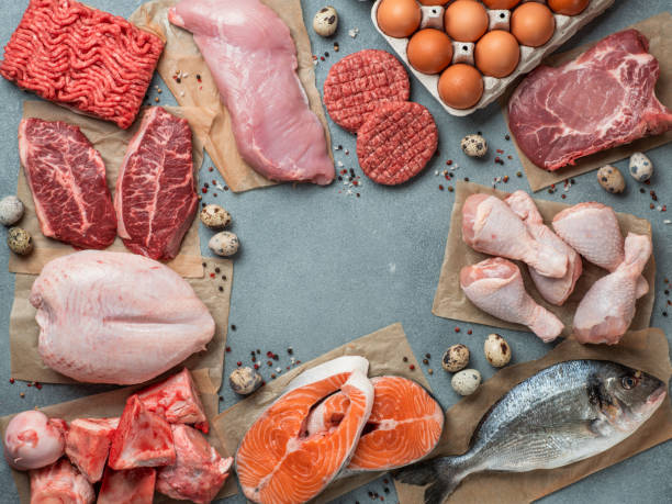 dieta carnivora, concetto di zero carboidrati, vista dall'alto - zero carb foto e immagini stock