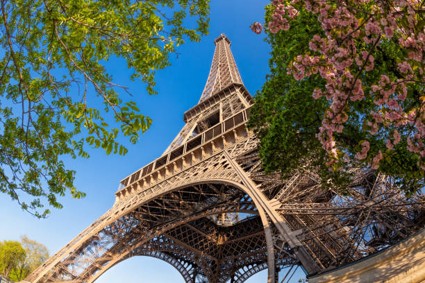 istock Eiffel Tower during spring time in Paris, France 1199448095