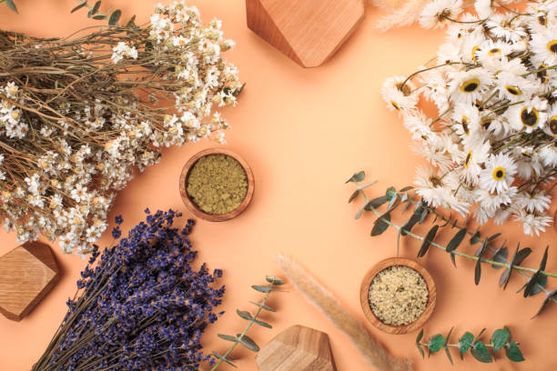 concepto boticay moderno - mortar and pestle lavender chamomile herb fotografías e imágenes de stock