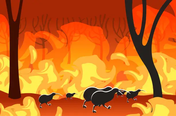 Vector illustration of kiwi silhouettes running from forest fires in australia animals dying in wildfire bushfire burning trees natural disaster concept intense orange flames horizontal