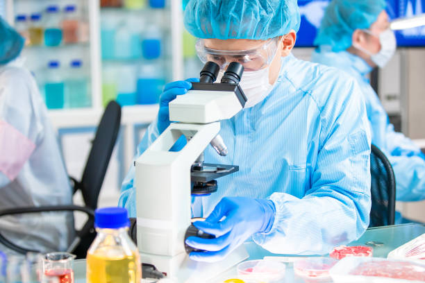 istock Microbiological Test Food Quality 1199449445
