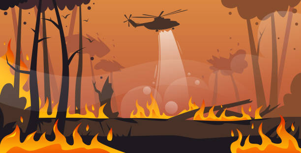 helicopter extinguishes dangerous wildfire in australia fighting bushfire dry woods burning trees firefighting natural disaster concept intense orange flames horizontal helicopter extinguishes dangerous wildfire in australia fighting bushfire dry woods burning trees firefighting natural disaster concept intense orange flames horizontal vector illustration forest fire stock illustrations