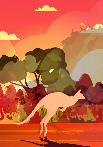 istock kangaroo running from forest fires in australia animals dying in wildfire bushfire burning trees natural disaster concept intense orange flames vertical 1199452584