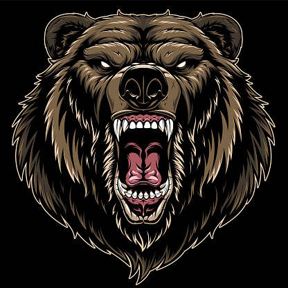 Vector illustration, head of a ferocious grizzly bear, on a black background