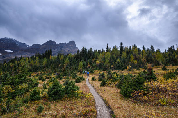 viaje en grupo a los viajeros en el bosque de otoño en el sombrío parque provincial de assiniboine - lake mountain range mountain deep fotografías e imágenes de stock