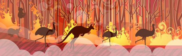istock australian animals silhouettes running from forest fires in australia wildfire bushfire burning trees natural disaster concept intense orange flames horizontal 1199455168