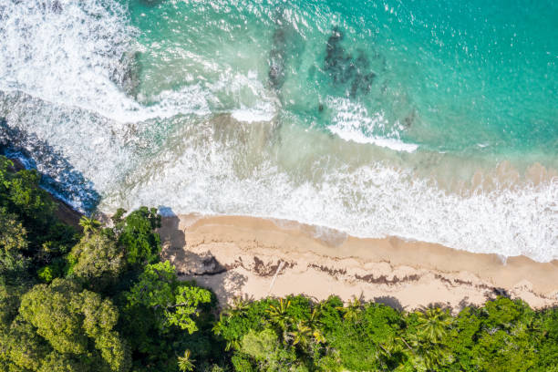 Drone view of Manuel Antonio national park in Costa Rica Drone view of Manuel Antonio national park in Costa Rica manuel antonio national park stock pictures, royalty-free photos & images