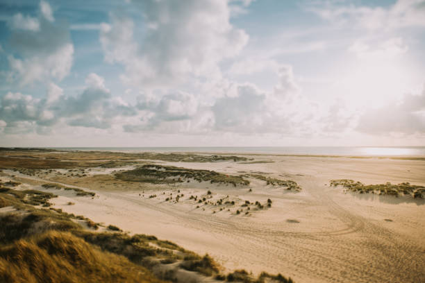 istock Coast Landscape Island of Amrum 1199456479