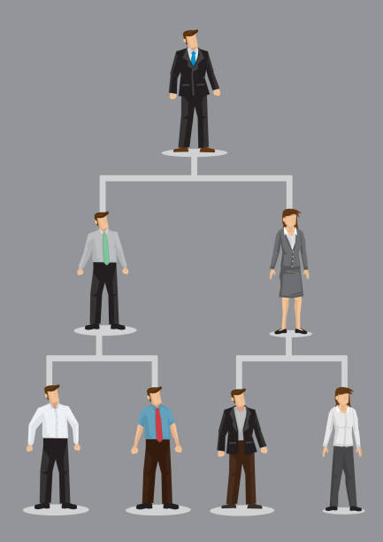 Business Organizational Hierarchy Vector Cartoon Illustration Vector illustration of cartoon business people characters on company organizational hierarchical chart isolated on grey background. multi level marketing stock illustrations