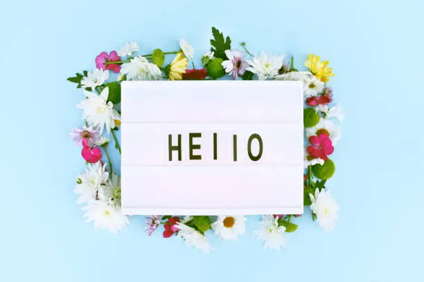 Photo of Lightbox with a flower arrangement and the word hello. H