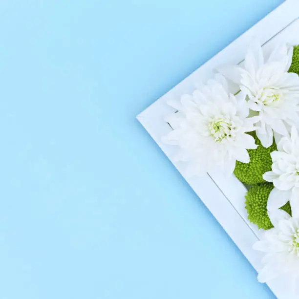 Photo of Floral spring composition in a geometric frame on a blue background.