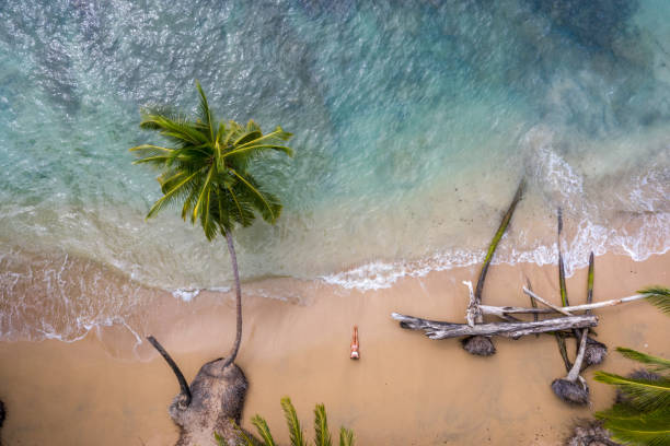 Drone view of woman relaxing on golden sand beach stock photo