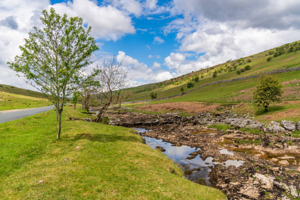 Near Yockenthwaite, North Yorkshire, England Yorkshire Dales landscape with the River Wharfe near Yockenthwaite, North Yorkshire, England, UK wharfe river photos stock pictures, royalty-free photos & images