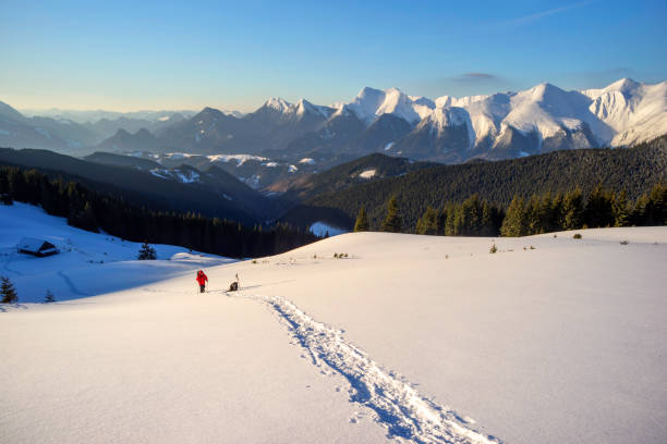 istock wild peaks of the Carpathians 1199458073