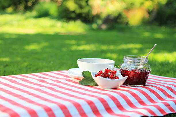 A beautiful selection of freshly picked ripe red raspberries and lady birds