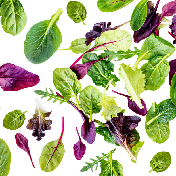 istock Flying Salad Leaves isolated on white background.   Assortment  with arugula, lettuce, chard, spinach leaves 1199465238