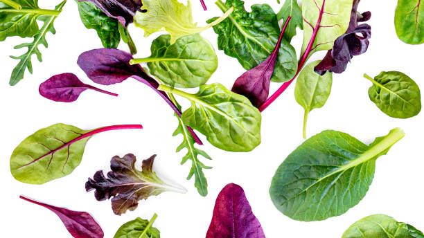 istock Flying Salad Leaves isolated on white background.   Assortment  with arugula, lettuce, chard, spinach leaves 1199465243