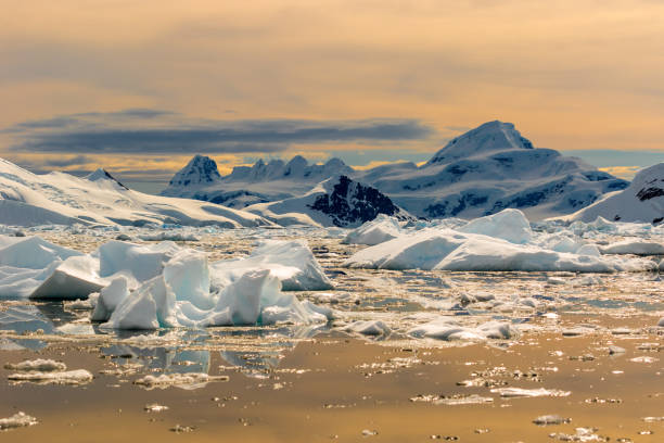 Many icebergs and ice with mountains in the background on the sunset in Antarctica Many icebergs and ice with mountains in the background on the sunset antarctic peninsula photos stock pictures, royalty-free photos & images