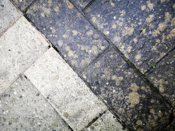 istock Before and after jet washing a patio with an effective result. 1199467352