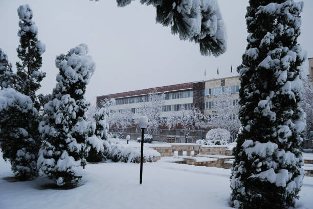 istock Berkovitsa - winter around the Christmas holidays 1199470446