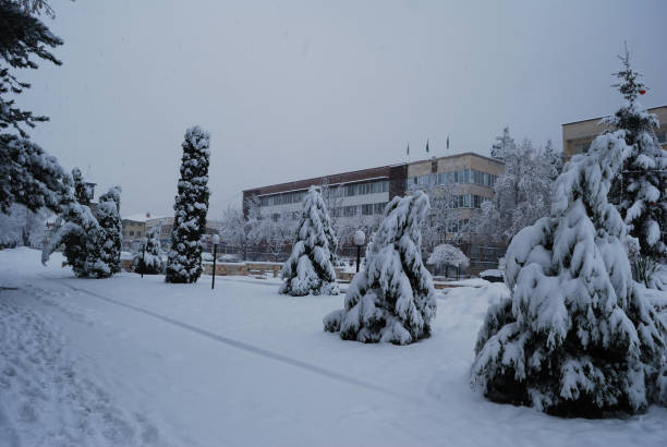 istock Berkovitsa - winter around the Christmas holidays 1199470507