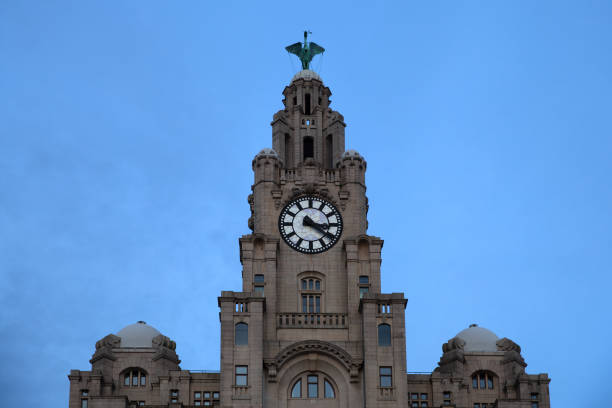 uhrenturm des royal liver building, liverpool, großbritannien - liverpool royal liver building clock tower building exterior stock-fotos und bilder