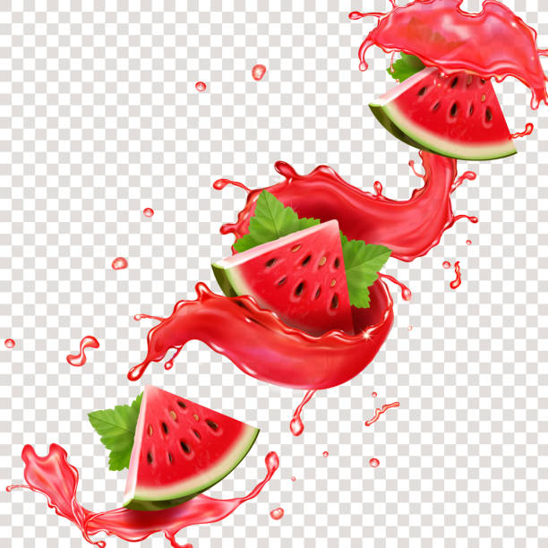 ilustrações, clipart, desenhos animados e ícones de suco de melancia espirra ilustração realista vetorial. - watermelon