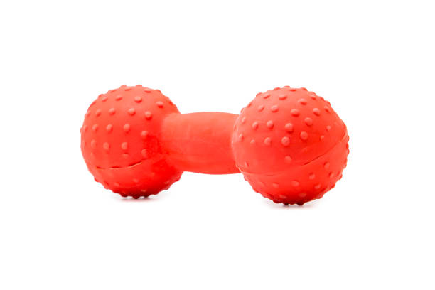 istock Dog toy dumbbell isolated on white 1199472601