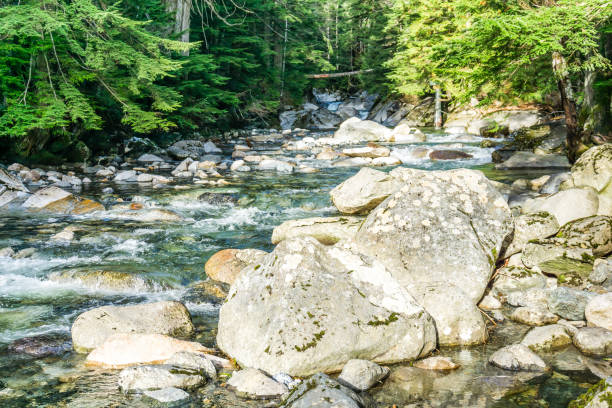 istock Clear Rocky Creek 2 1199474369