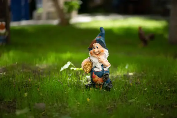 Garden gnome with a rooster on the lawn