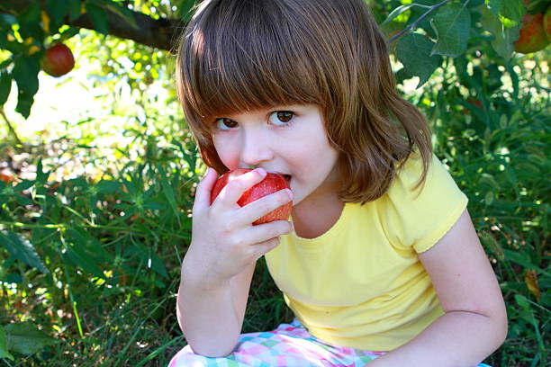 Little girl eating apple stock photo