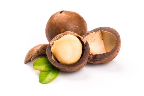 istock Inshell macadamia nuts with leaves isolated on white background. 1199479903