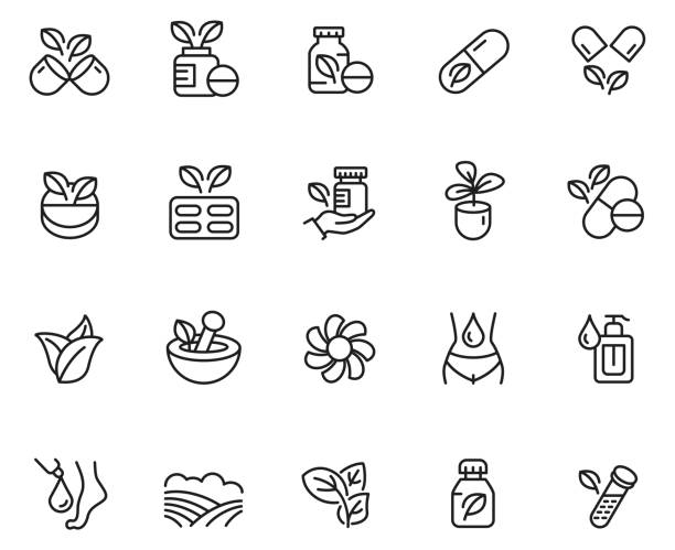 illustrations, cliparts, dessins animés et icônes de ensemble d'icône de médecine à base de plantes - ayurveda