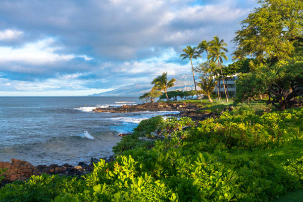 istock Beautiful Maui Hawaii Beach 1199481718