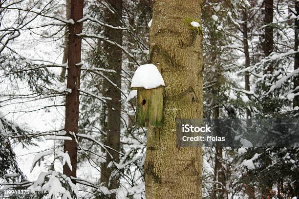 Casetta Per Gli Uccelli Sullalbero - Fotografie stock e altre immagini di Albero - Albero, Ambientazione esterna, Ambientazione tranquilla