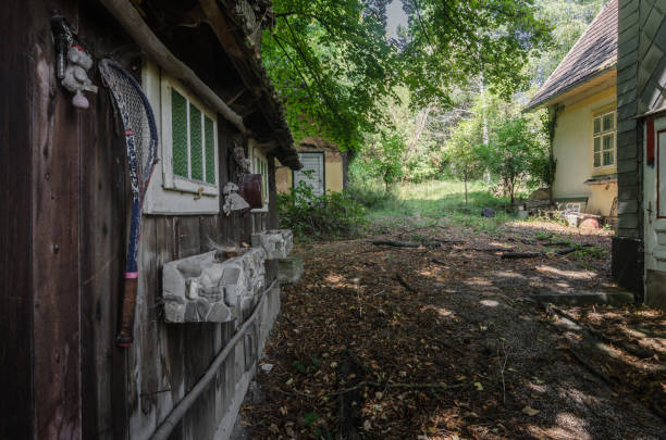abandoned houses on a ground