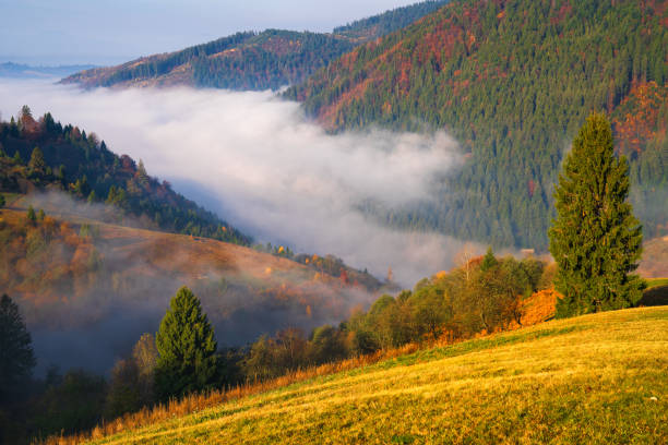 istock Picturesque mountain landscape 1199487402