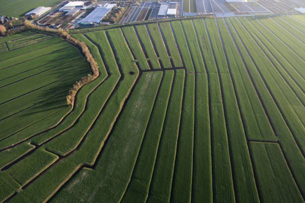 istock Dutch Polderland from above 1199488485