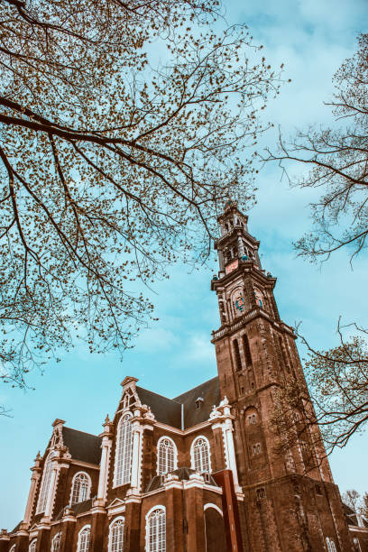 Westerkerk Church Seen Through Tree Branches In Amsterdam, The Netherlands