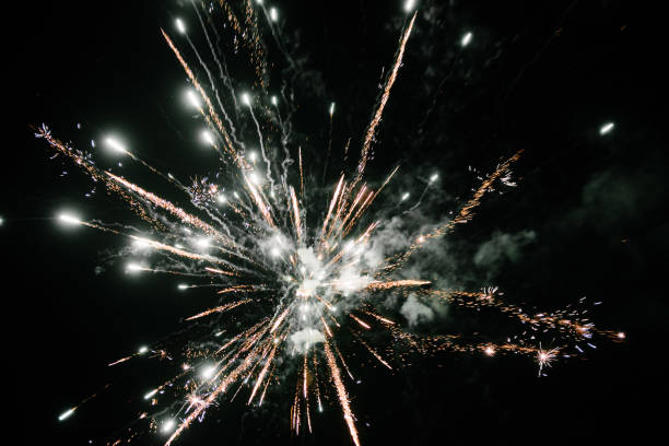 istock Fireworks in the night sky. Multicolored fireworks at night 1199490409