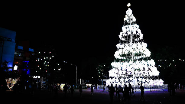 Hamilton, Bermuda - December 30, 2014: Christmas tree at City Hall and Arts center, Hamilton, Bermuda