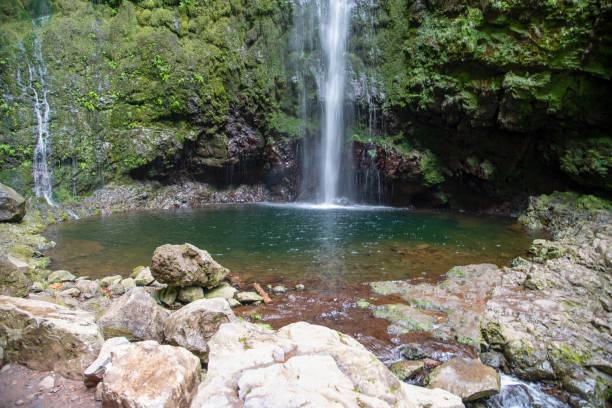 istock Hiking on the Levada do Caldeirao Verde. 1199496044