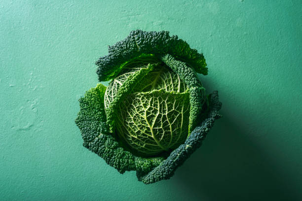 un cavolo su sfondo verde. cavolo di milano. alimentazione sana - green cabbage foto e immagini stock