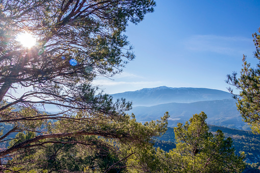 Mediterranean landscape with green evergreen forest and Mont Ventoux mountain in the Provence region of Southern France