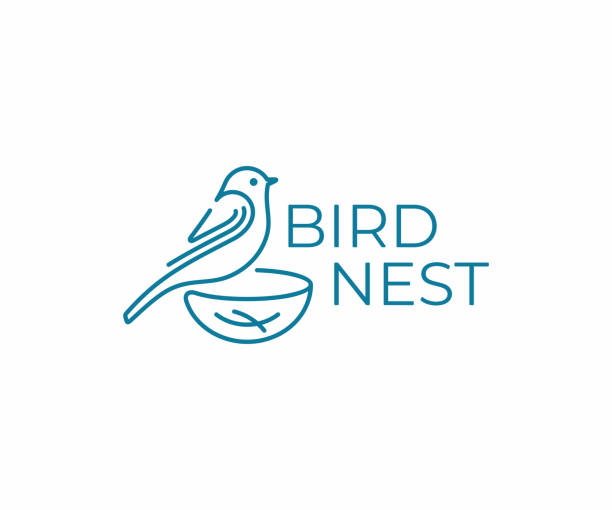 둥지 디자인의 새. 조류 관찰 벡터 디자인입니다. 조류 일러스트 - birds nest illustrations stock illustrations