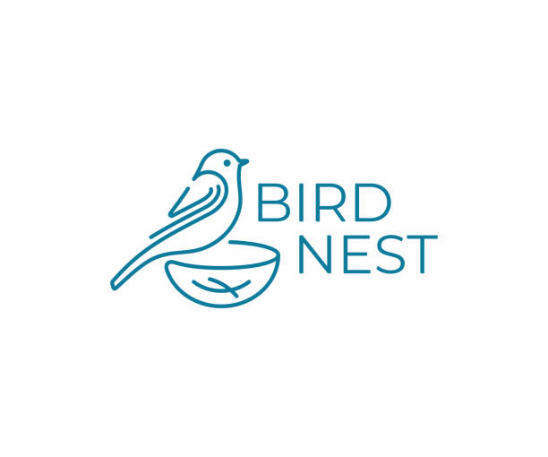 ilustrações, clipart, desenhos animados e ícones de pássaro com projeto do ninho. pássaro que presta atenção ao projeto do vetor. ilustração de birding - pousar