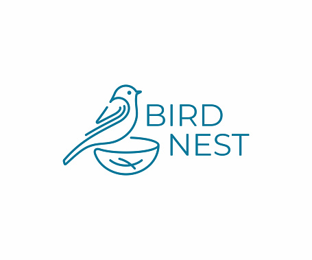 Bird with nest design. Bird watching vector design. Birding illustration