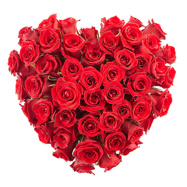 istock Valentine's Day Red Rose Heart 119950419