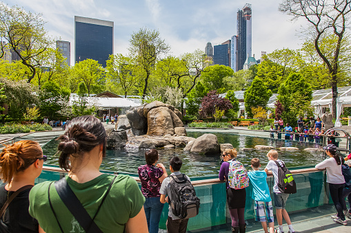 Visitors gather around the seal pool in New York City's Central Park Zoo.