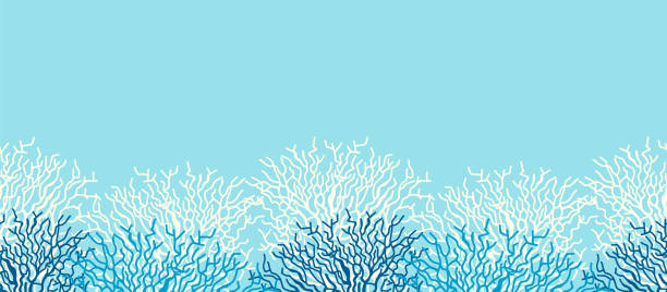 unterwasser-meer leben ozean banner hintergrund mit blauen korallenriff - korallenriff stock-grafiken, -clipart, -cartoons und -symbole